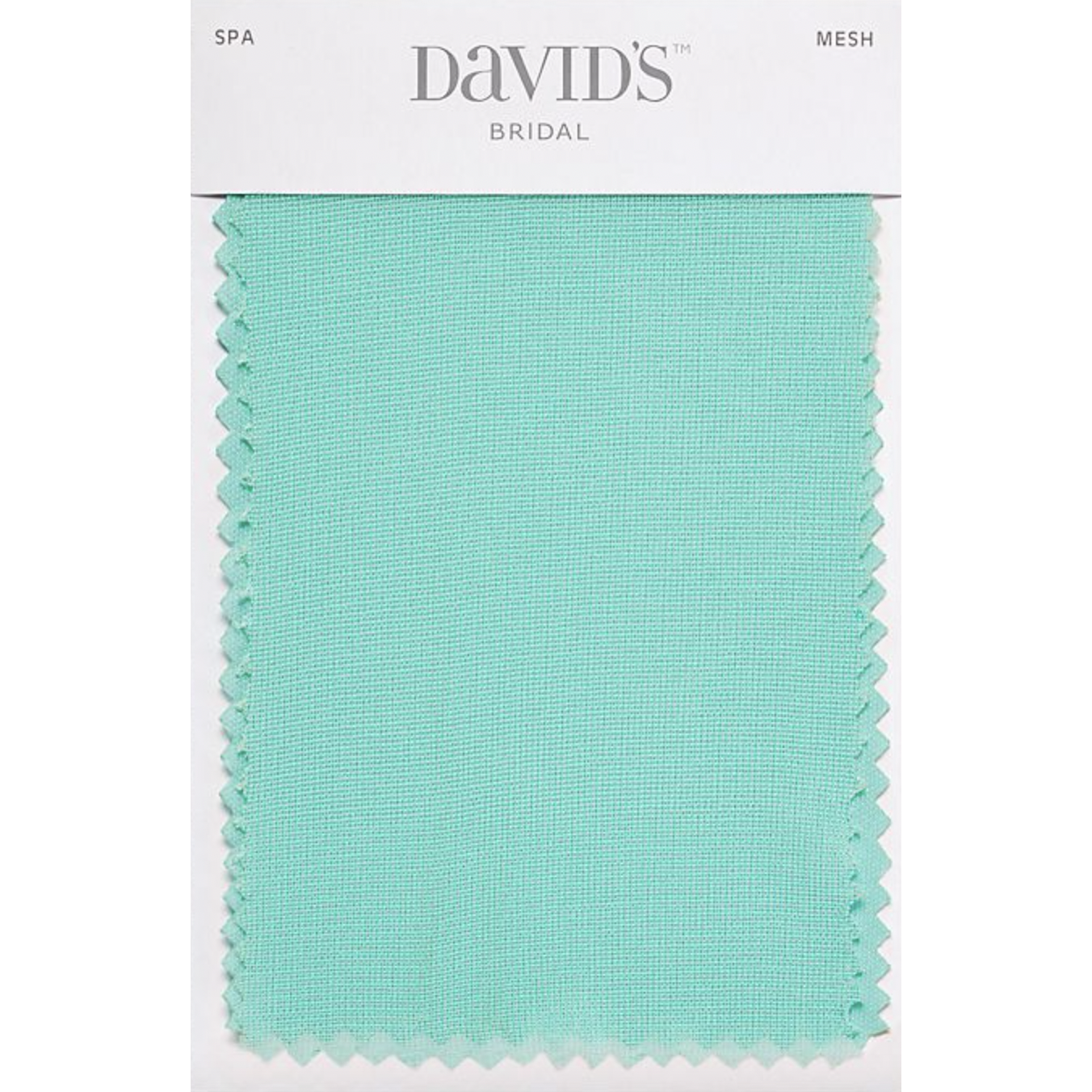 The Theme Color and bridesmaid dresses are the color Spa at Davids Bridal. Please try and have something of this color in your attire. Handkerchief, Shorts, Shirt, Tie, Bowtie, Hair clip, ect.