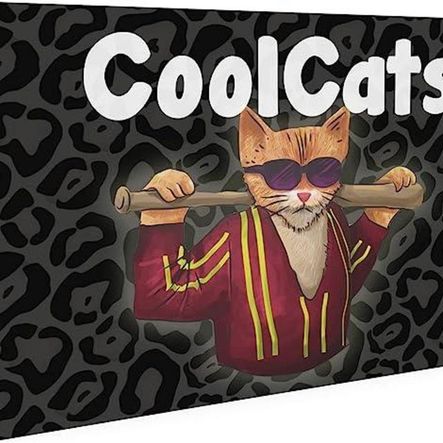 CoolCats & AssHats: A Card Game for a Funner Party