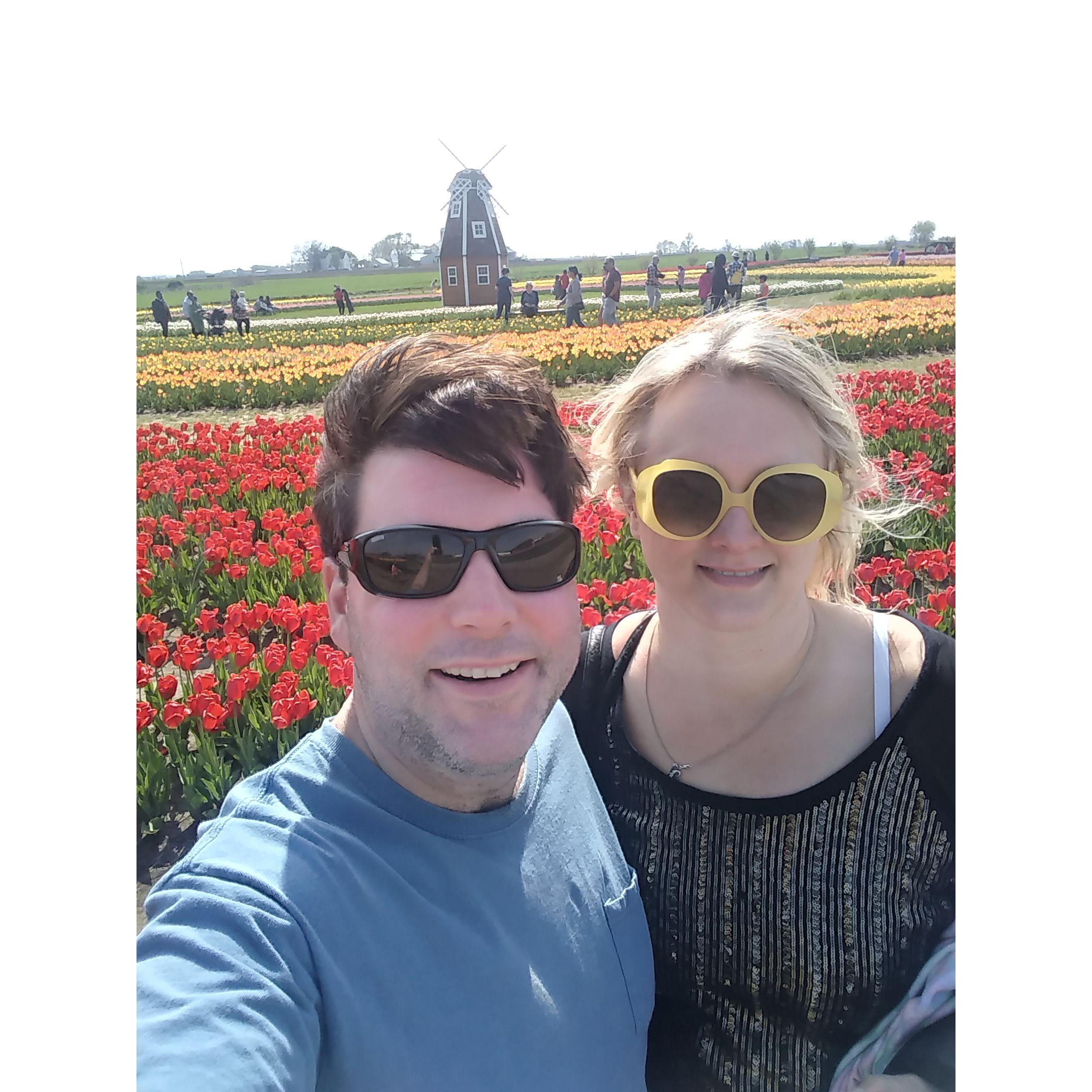 Tulips