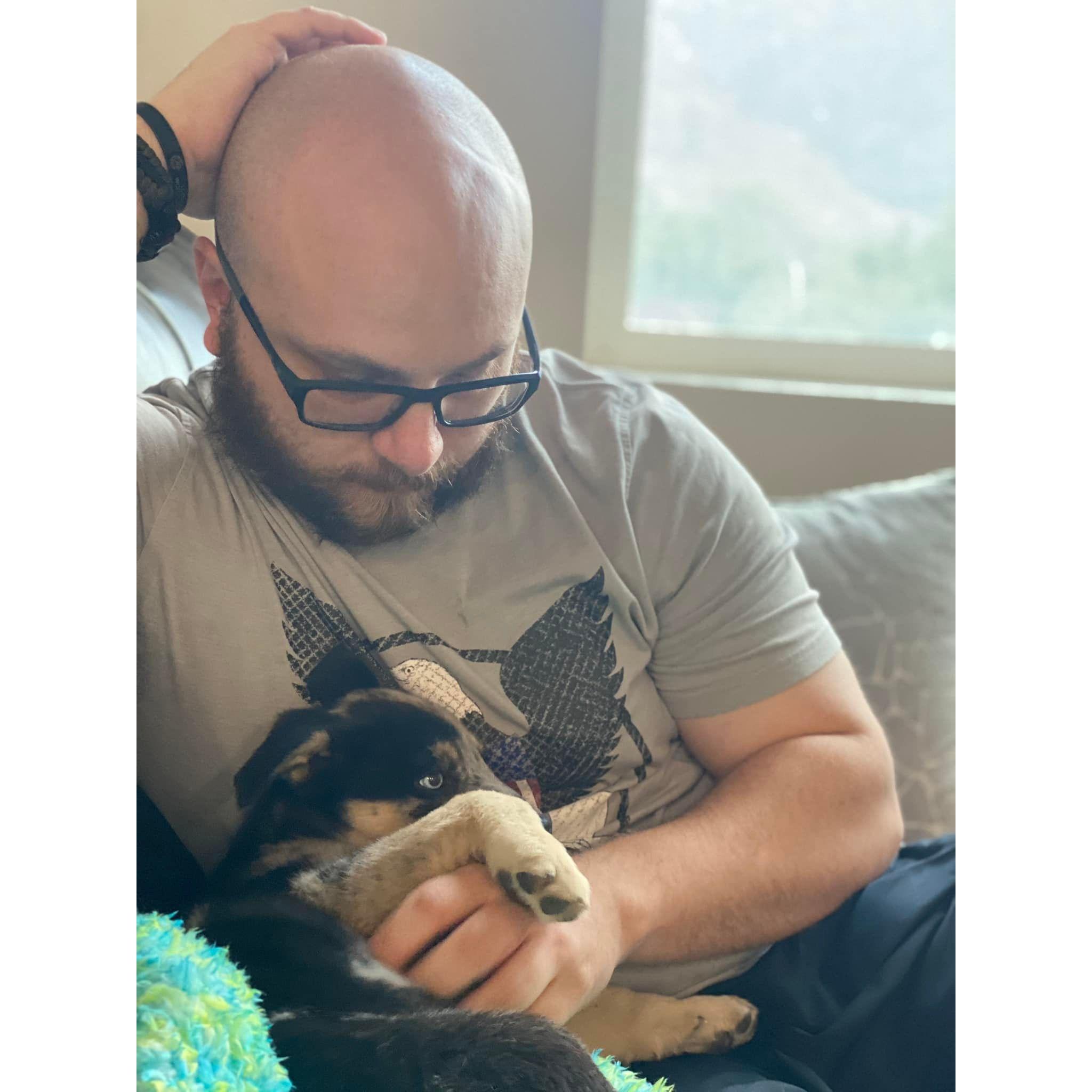 Day we brought home Diesel