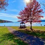 Keuka Lake State Park