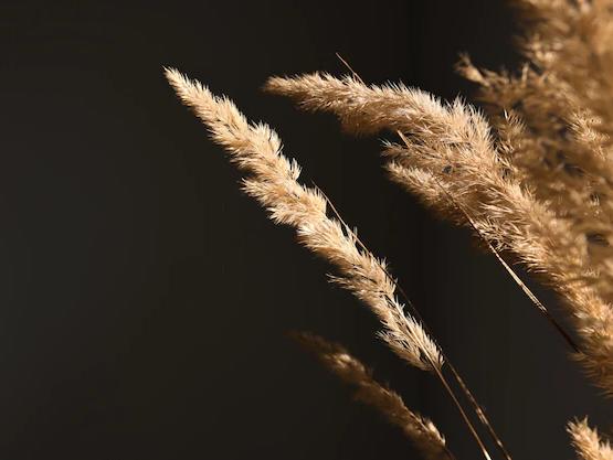 The Wedding Website of Christina Luna and Tyler Hessler