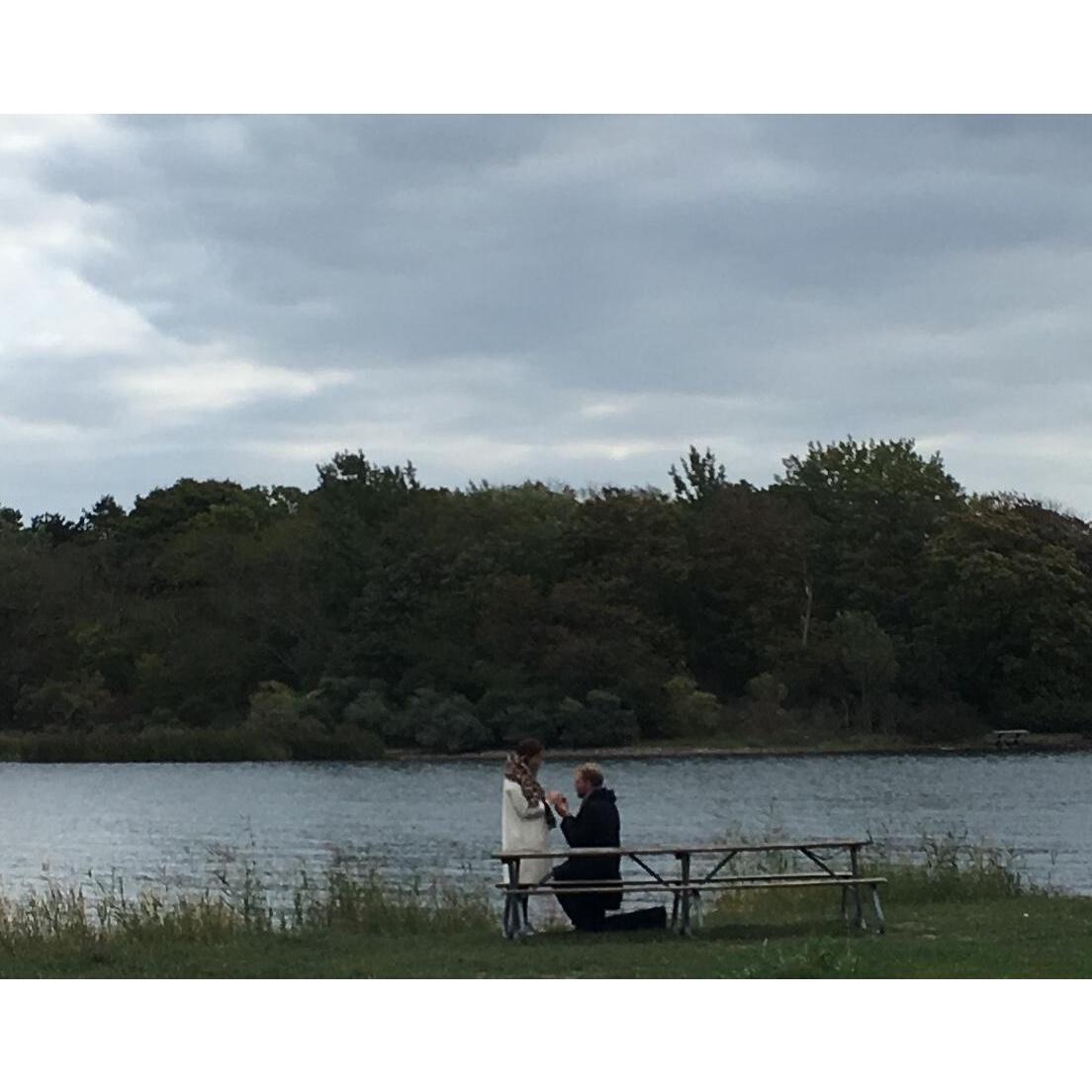 "The Proposal"