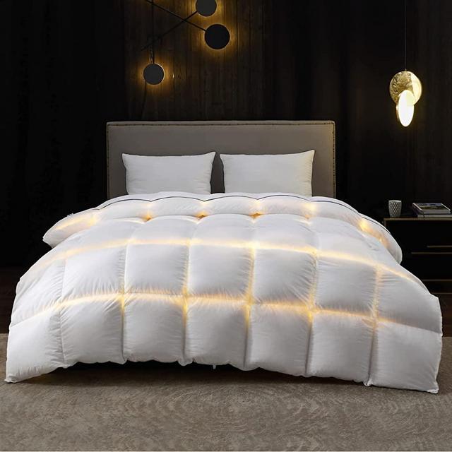 Bedsure Goose Down Comforter Queen Size - Queen Down Comforter All Season - Feather Comforter Queen Duvet Insert Extra Fluffy 53 Oz with 8 Corner Tabs Machine Washable (90x90)
