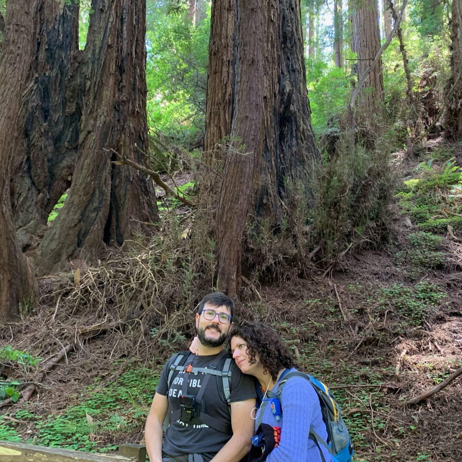 relaxin' in the redwoods