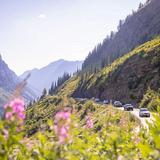Going to The Sun Road