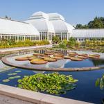 New York Botanical Garden
