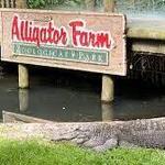 St. Augustine Alligator Farm Zoological Park