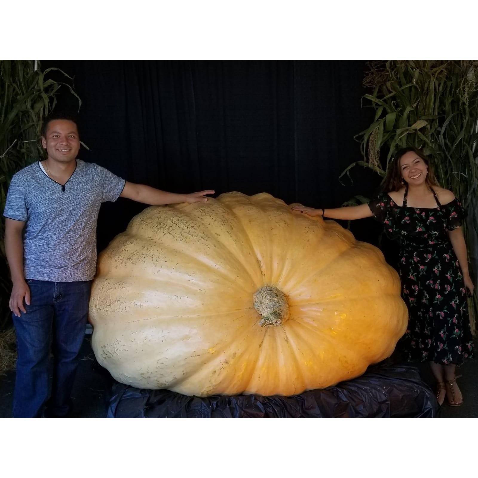 Half Moon Bay Pumpkin Festival 2018