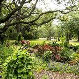 Mead Botanical Garden