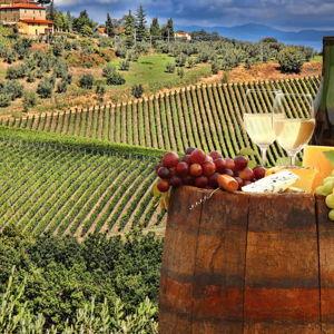 Wine Tasting in Italy (On the Honeymoon!)