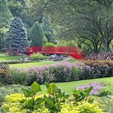 Dow Gardens Conservatory