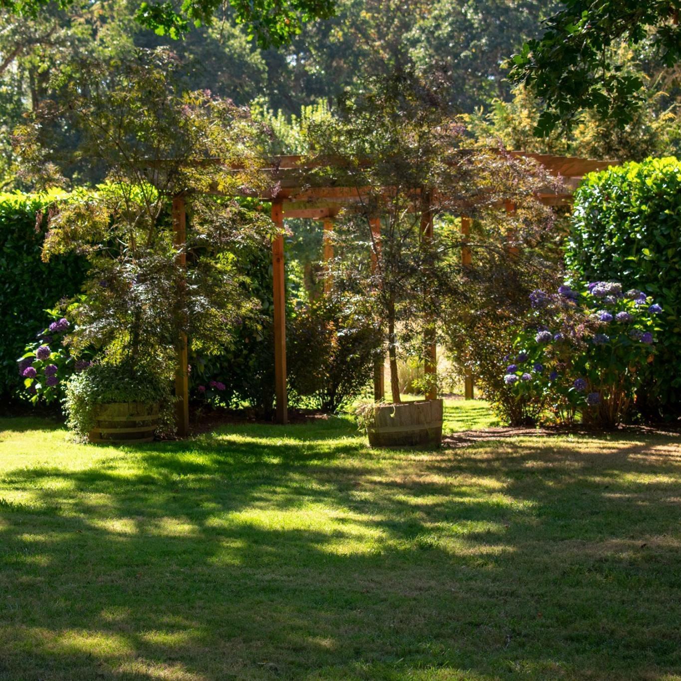 Lush greens everywhere