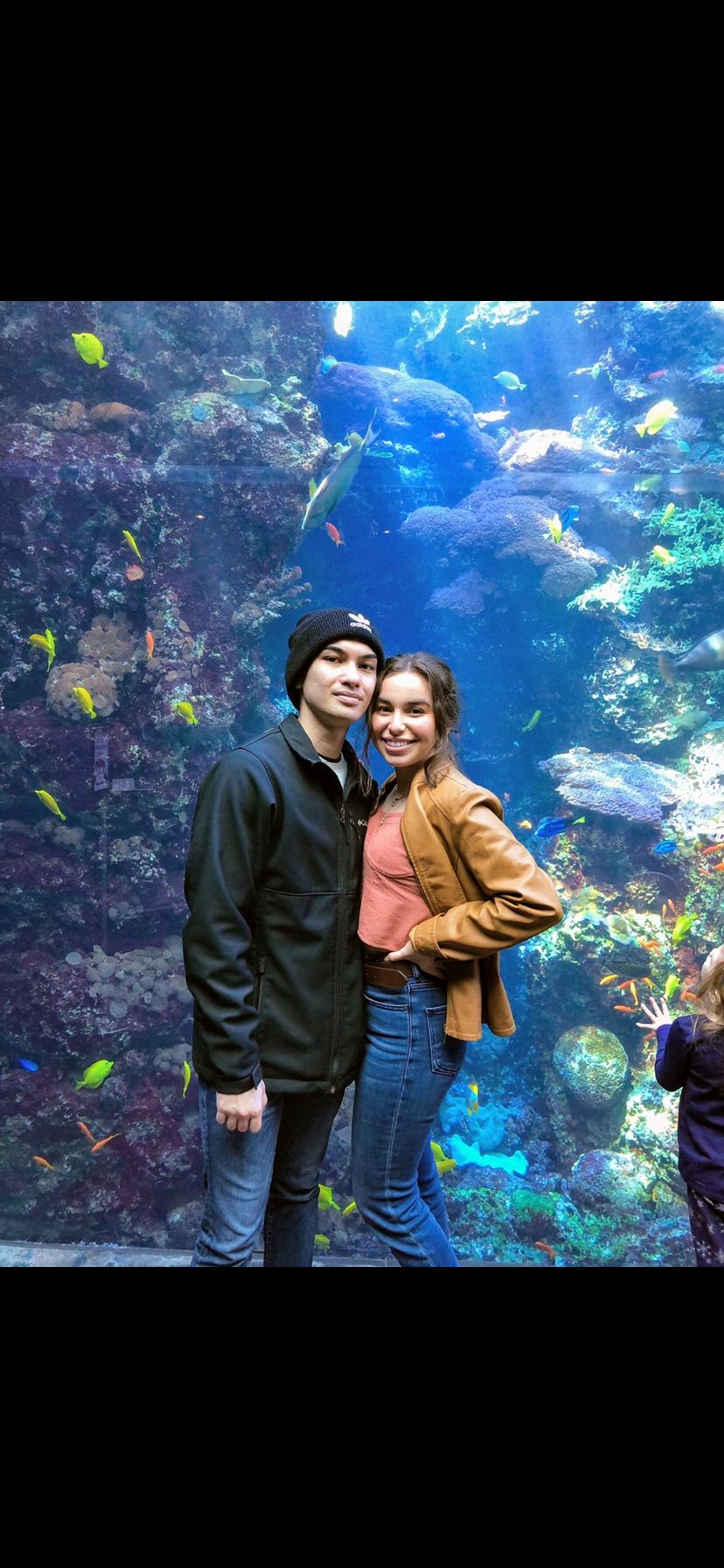 Georgia Aquarium, Atlanta , 2020