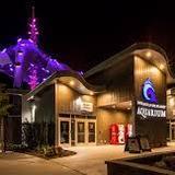 Loveland Living Planet Aquarium
