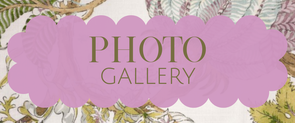The Wedding Website of Adair Day and Noah Yonce