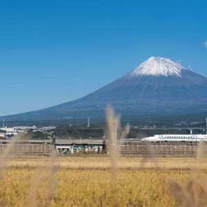 Tren Bala Shinkansen
