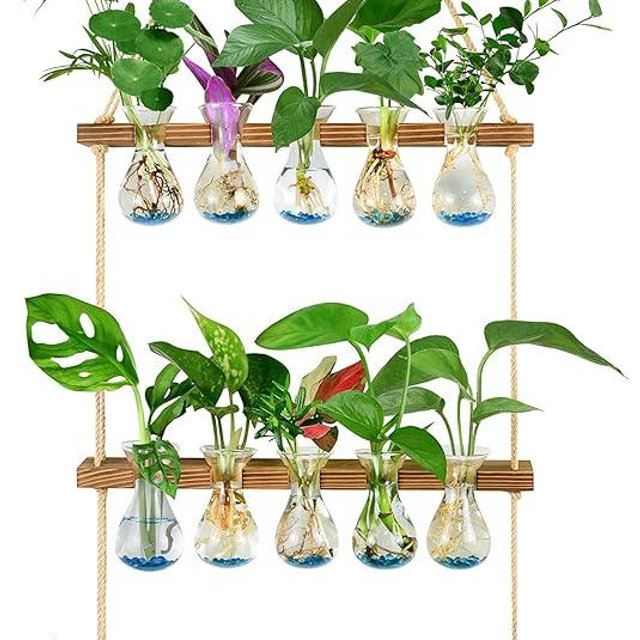 XXXFLOWER Wall Hanging Propagation Station with Wooden Stand 5 Bulb Vase 3 Tiered Planters Wall Terrarium for Home Office Plant Hanger Flower Vases Wall Decor