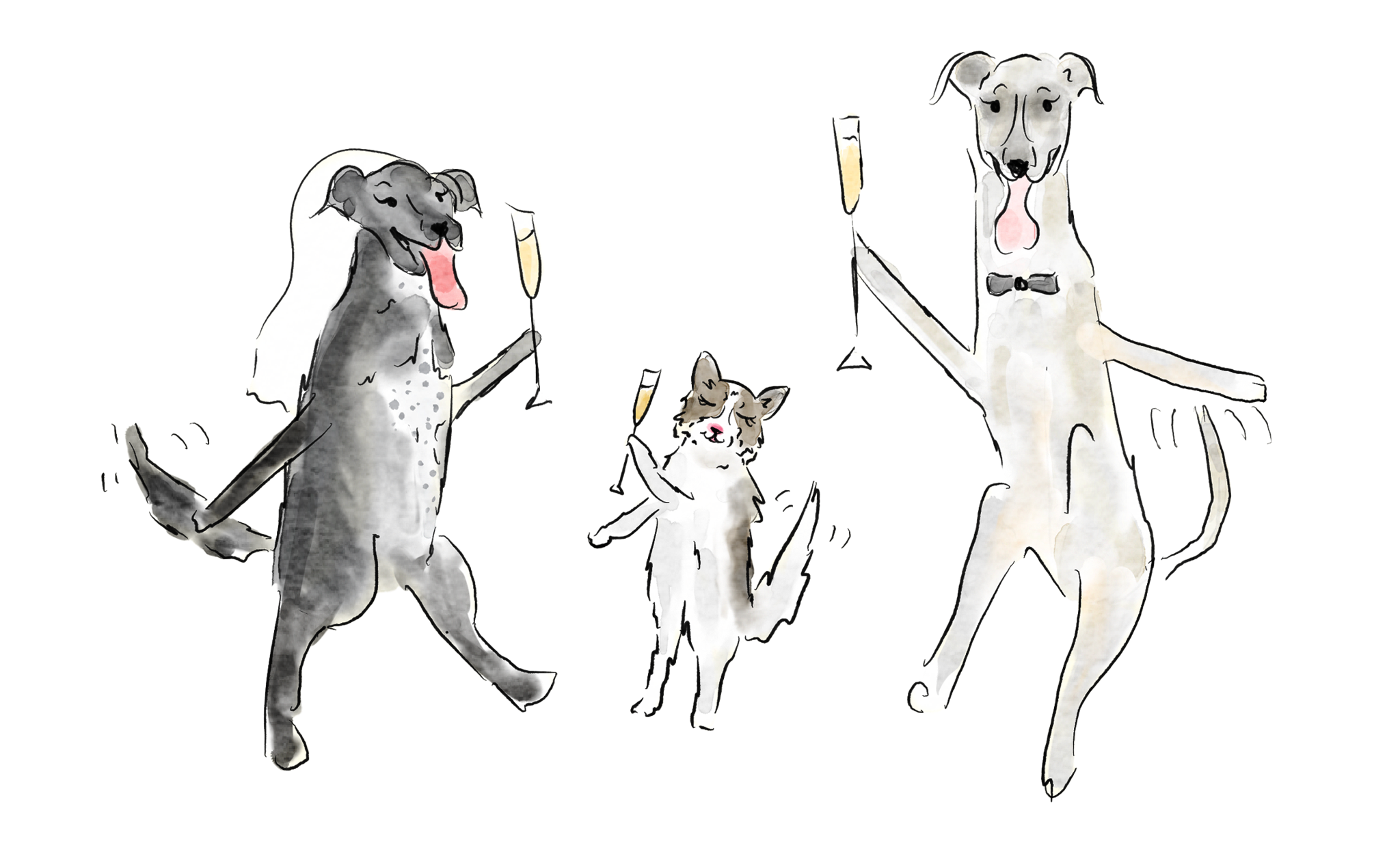 The Wedding Website of Kaitlyn Kasemodel and Spencer Ilstrup