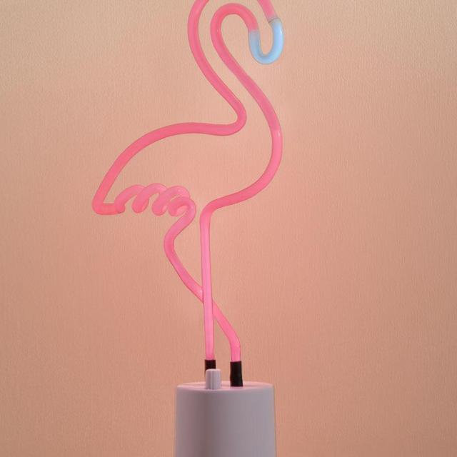 We All Need Somebody to Neon Light in Flamingo