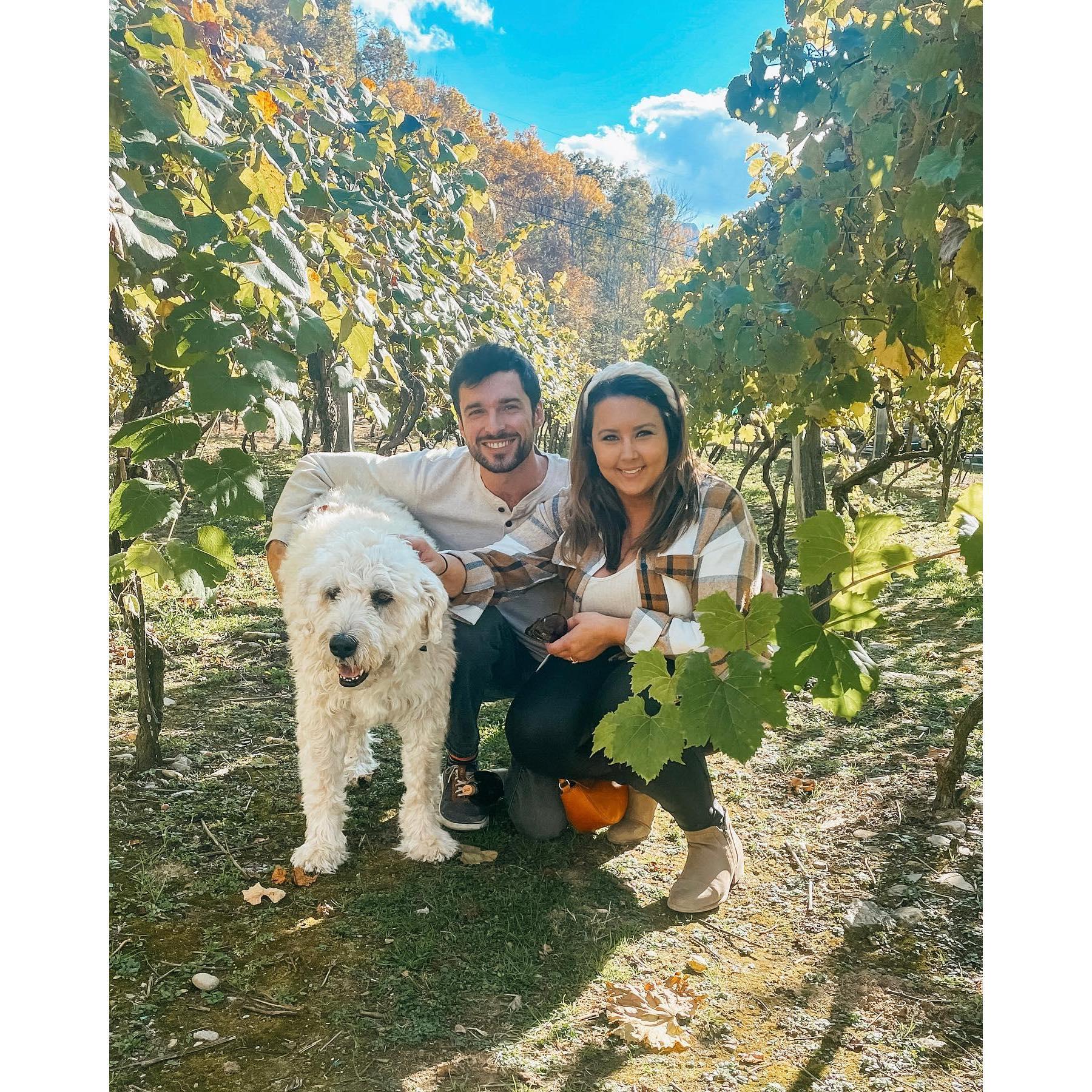 Pfall Pfeifer pfamily pfoto!