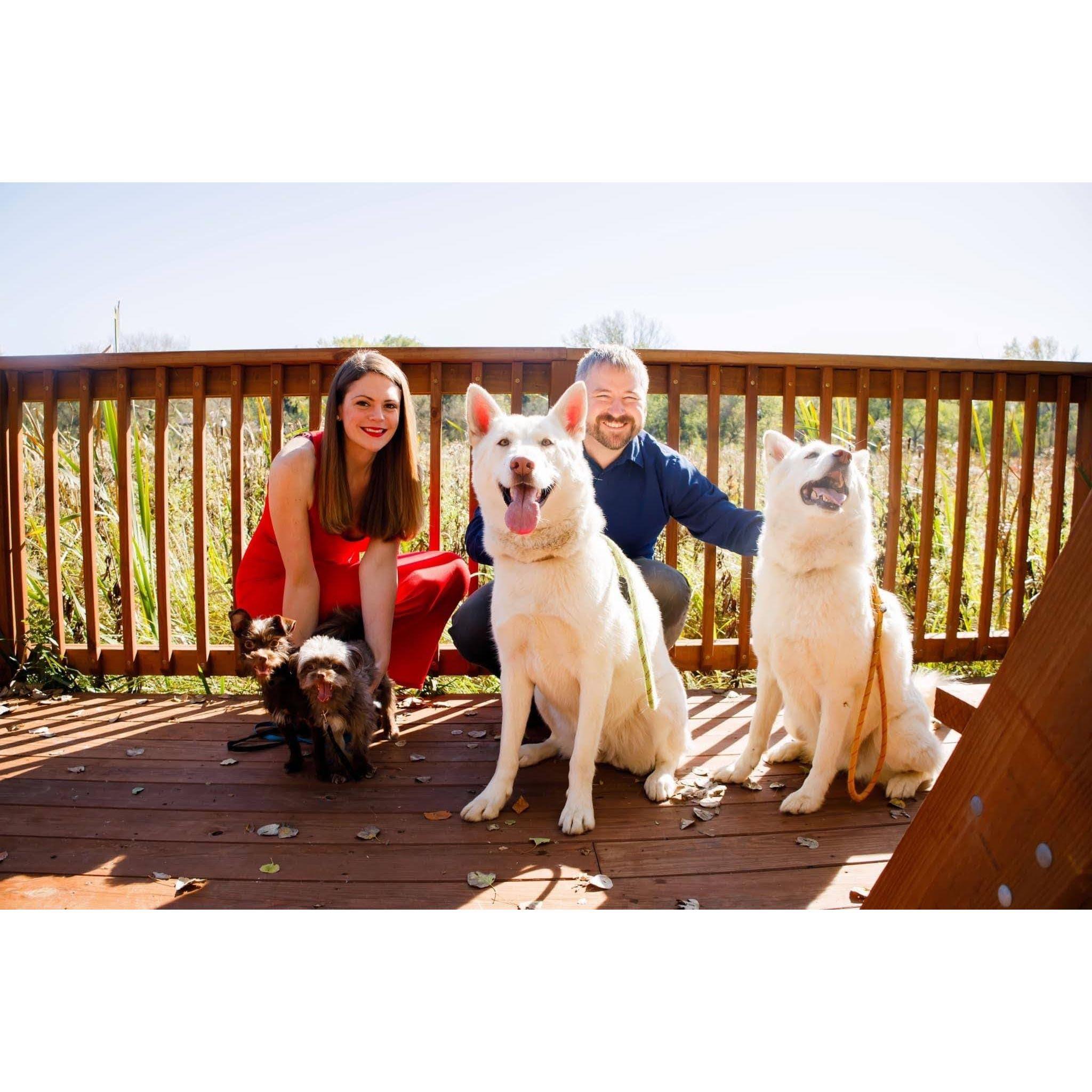 Attempting to take a family photo with four dogs...