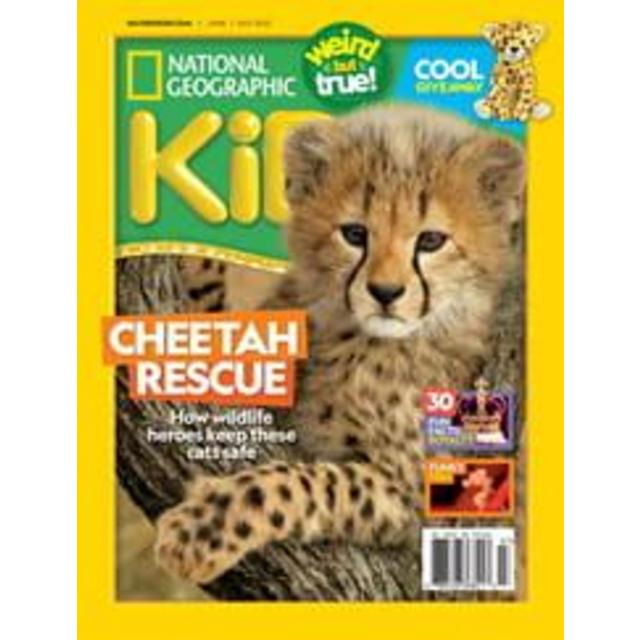 Children's Magazine Subscriptions: Entertaining and Educational