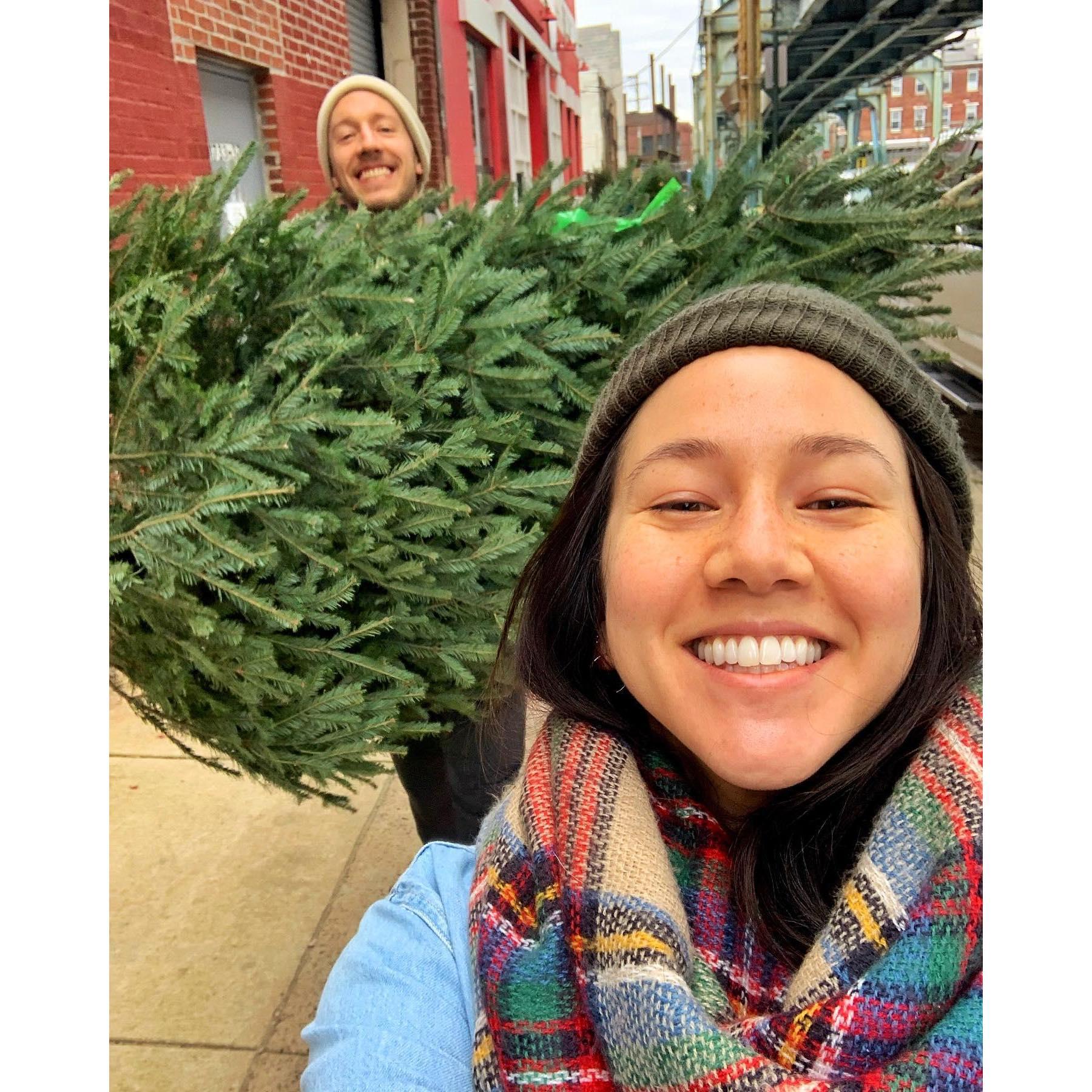 Living together means getting a big ass Christmas tree to fill up our living room!