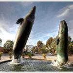 Birch Aquarium at Scripps