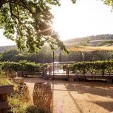 Page Springs Cellars