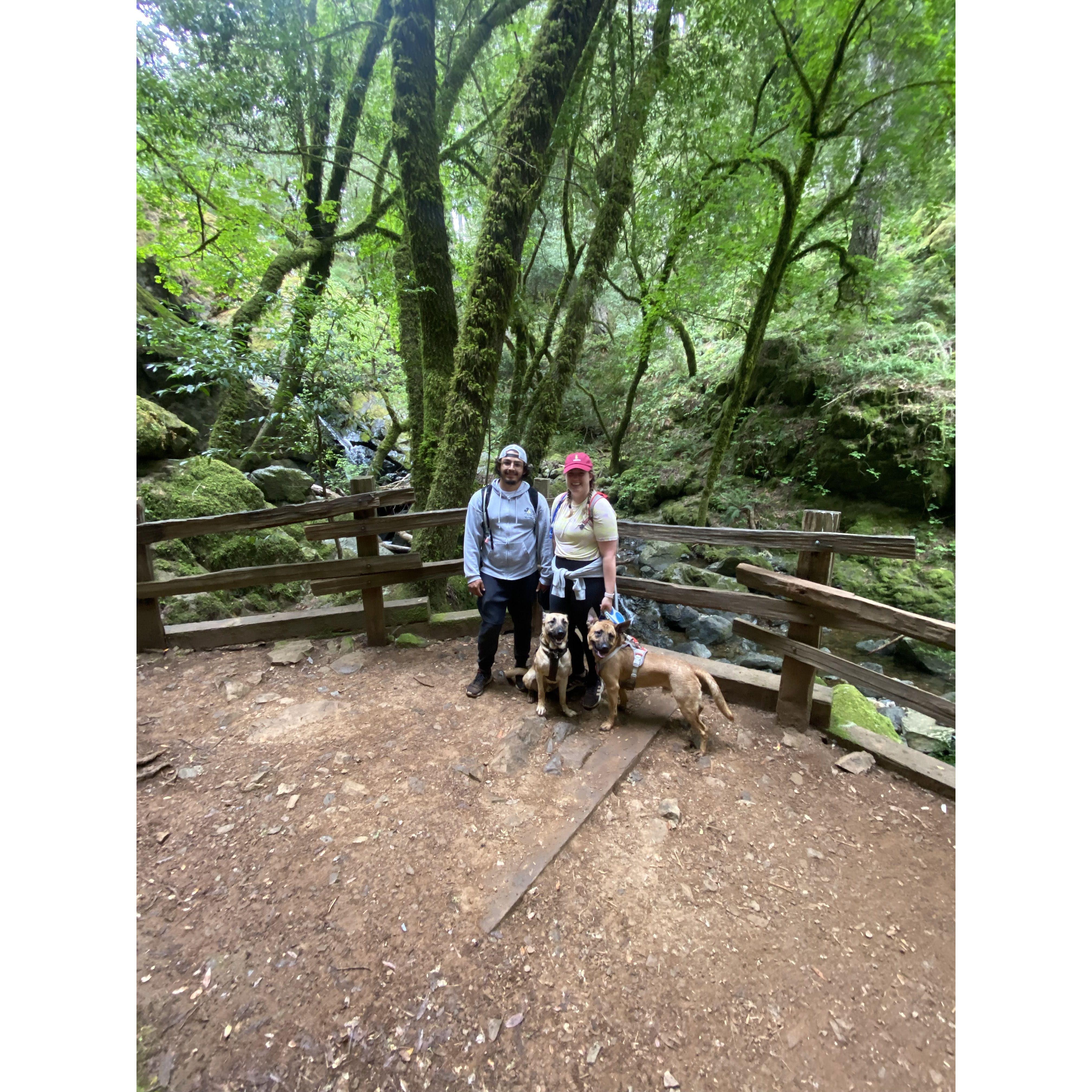 One of the many times we have gone on a hike with our dogs.