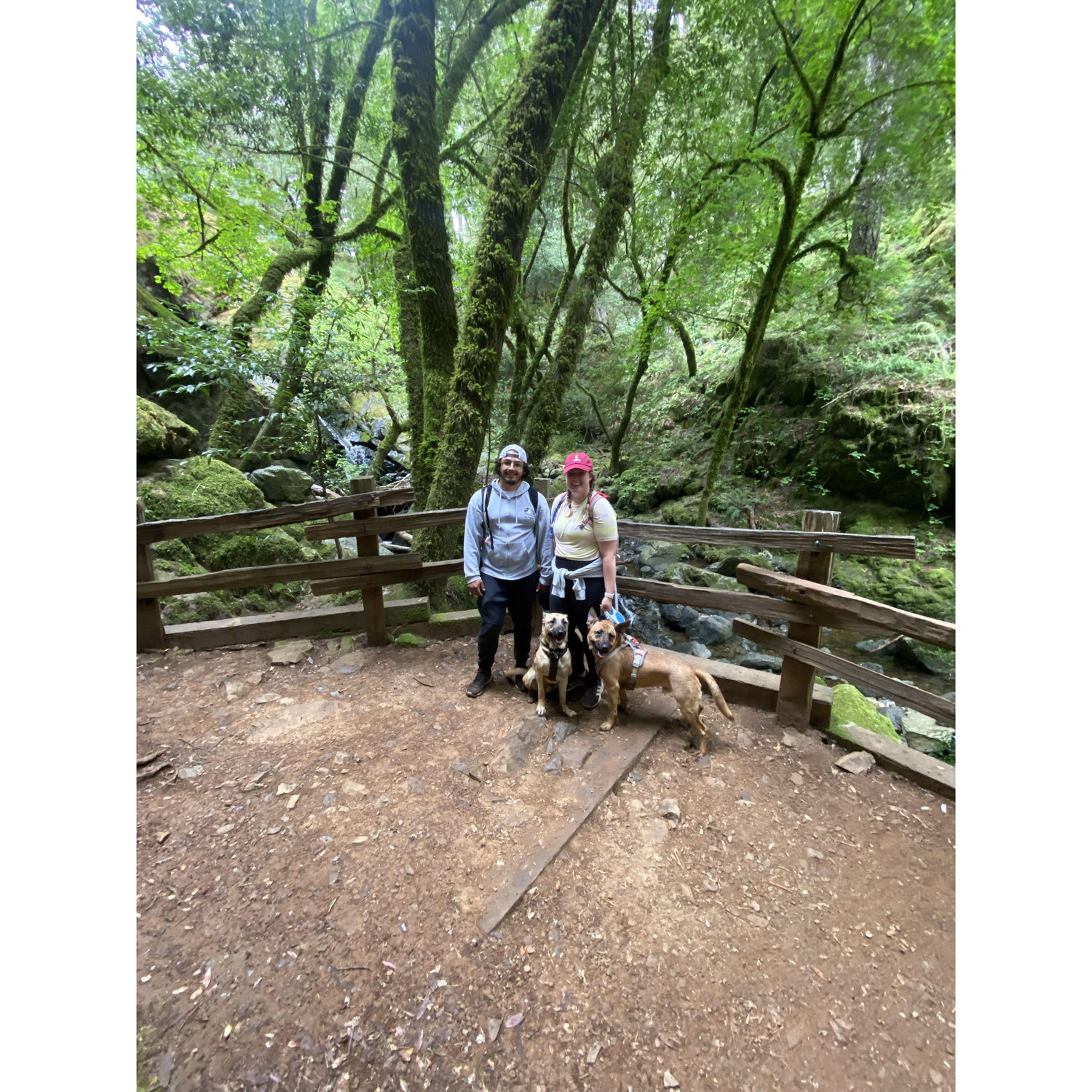 One of the many times we have gone on a hike with our dogs.