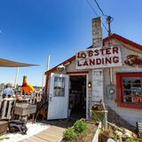 Lobster Landing