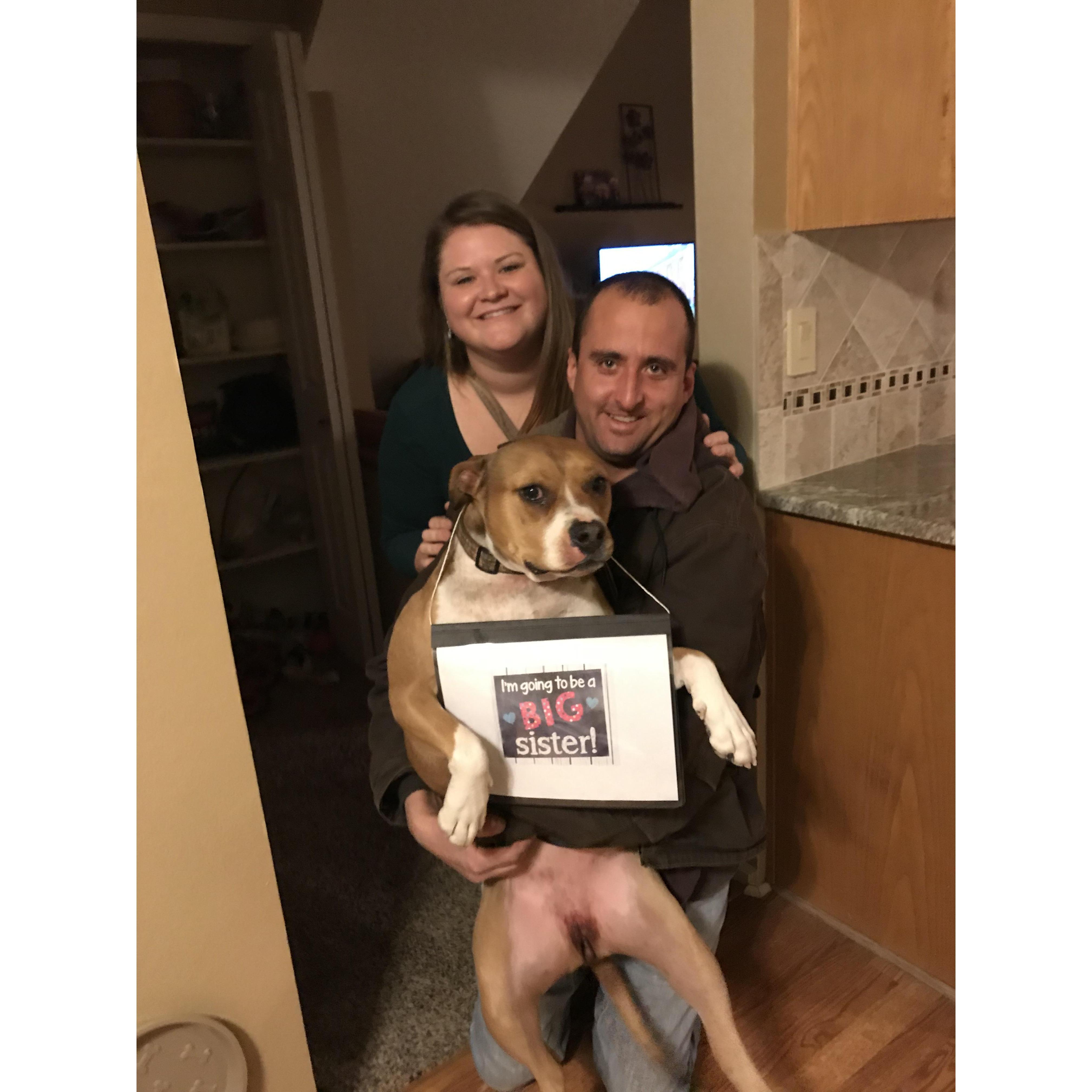 We found out we were pregnant with our perfect boy in January of 2019!