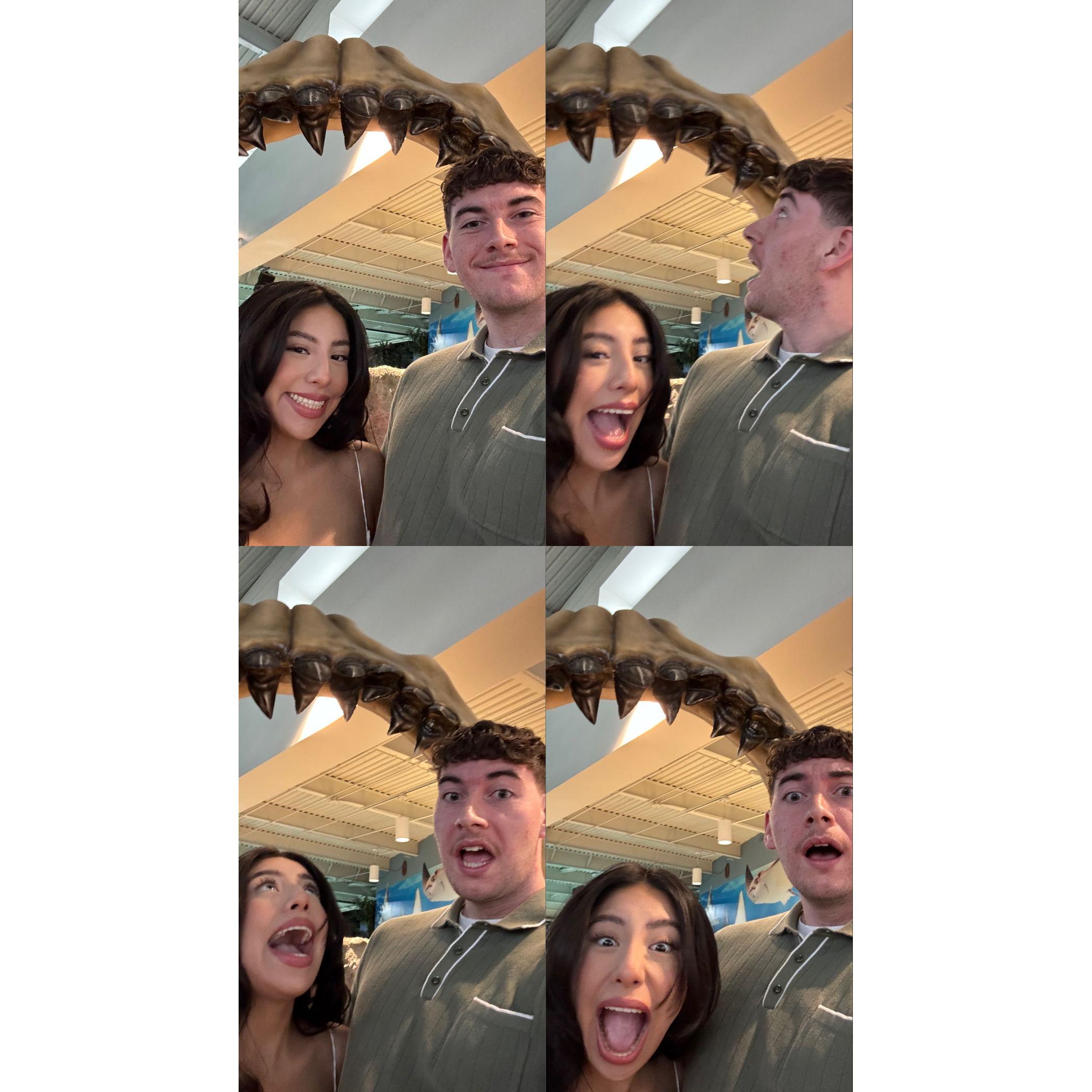 We took a picture with the shark teeth moments before William proposed just like the first time we went to the aquarium.