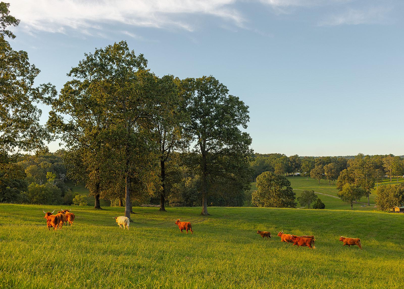 The Wedding Website of Caitlyn Lemieux and Ryan Grbac