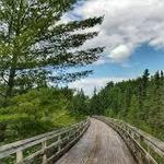Bearskin Trailhead Park