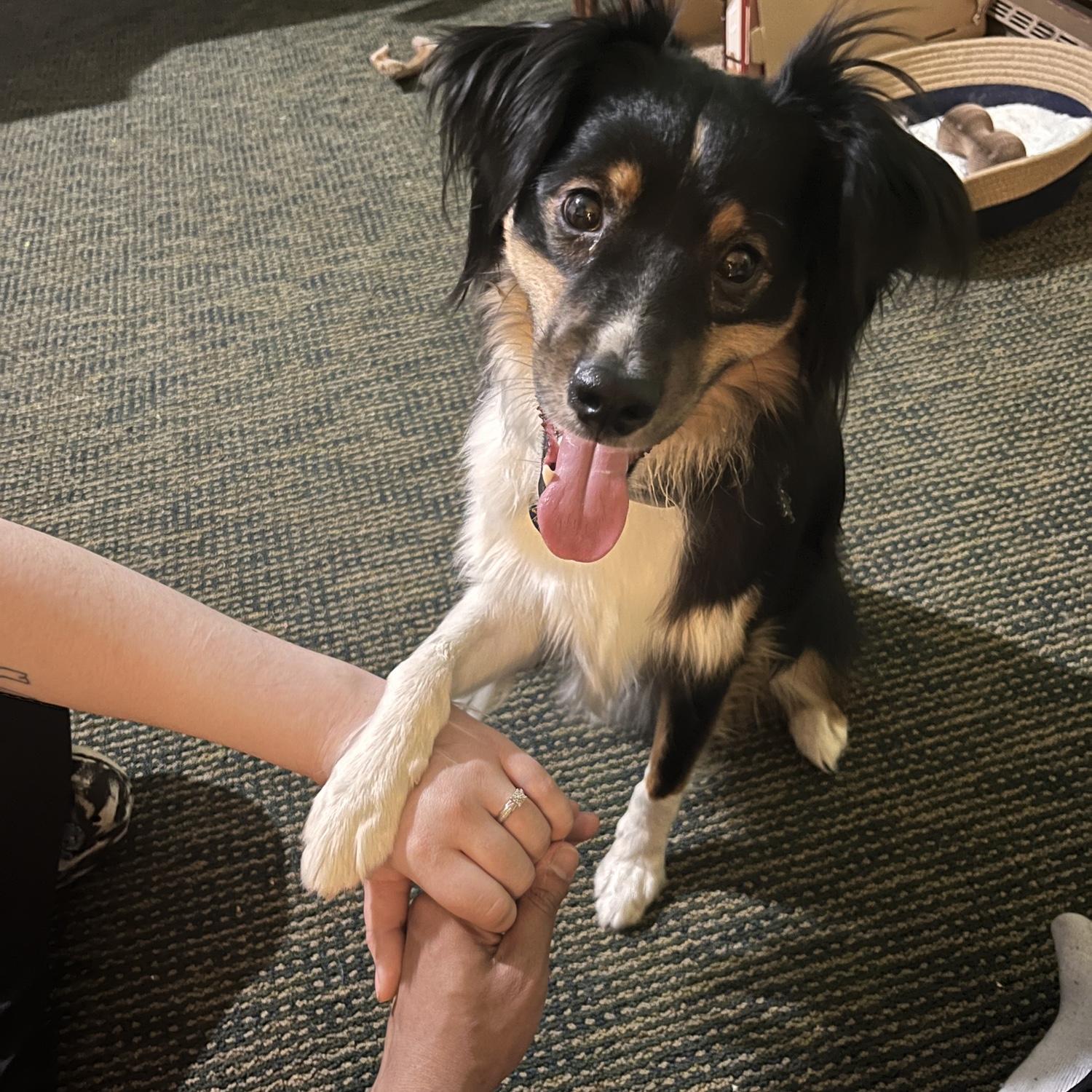 Engaged April 17th 2025