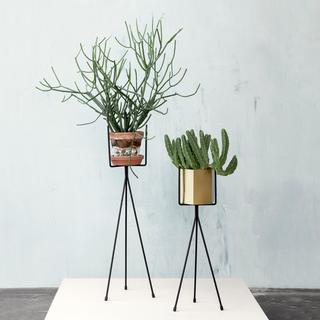 Plant Stand