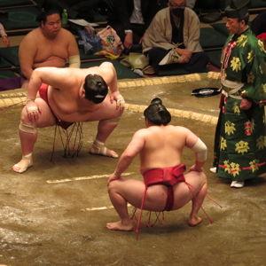 Sumo Wrestling Experience