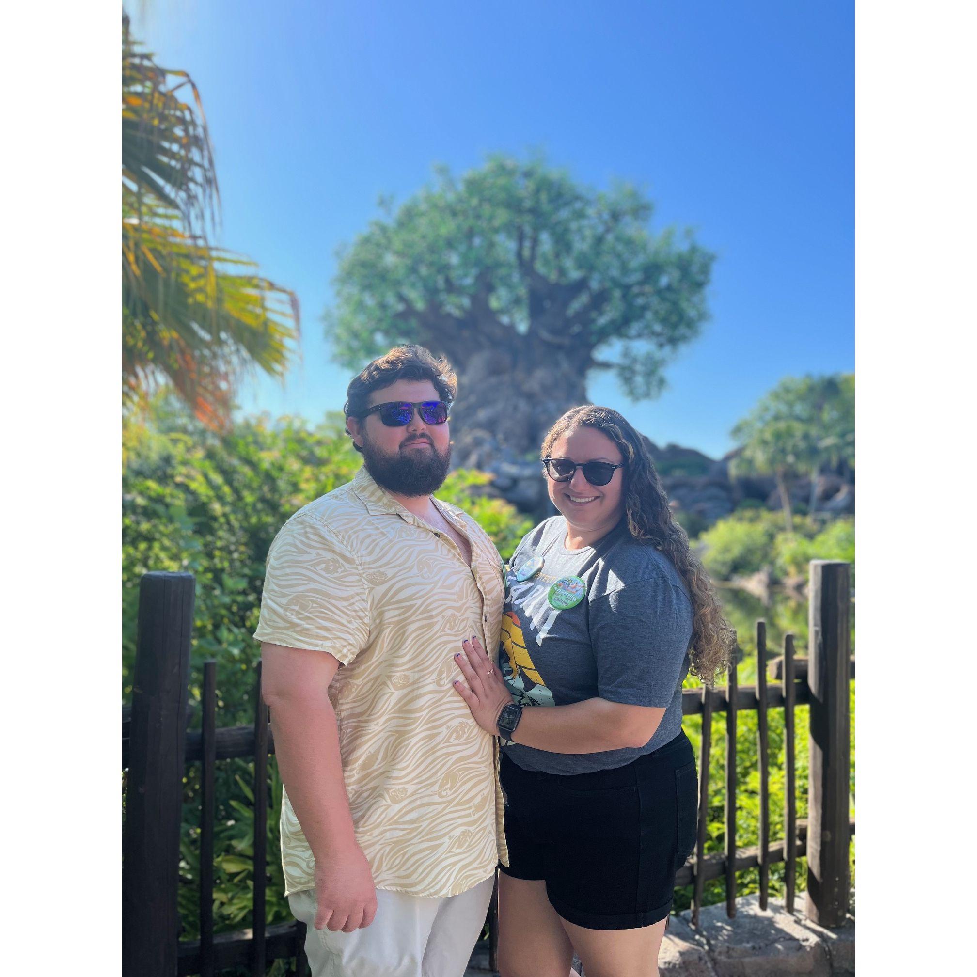 Celebrating Animal Kingdom's 25th Birthday! April 2023
