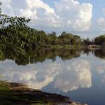 Blackwell Forest Preserve