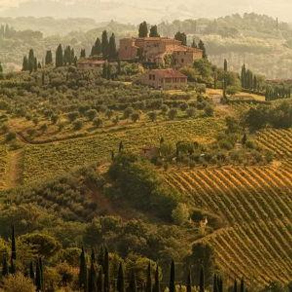 Honeymoon Fund for Tuscany and Rome