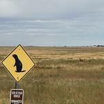 Rocky Mountain Arsenal National Wildlife Refuge