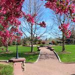Hudson Gardens