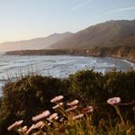 The Town of Cambria