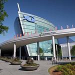 Georgia Aquarium