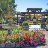 Wilson Creek Winery