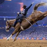Houston Livestock Show and Rodeo