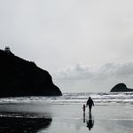 Trinidad State Beach
